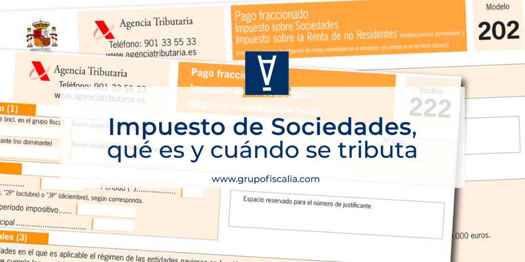 Impuesto De Sociedades, Qué Es Y Cuándo Se Tributa | Grupo FISCÁLIA